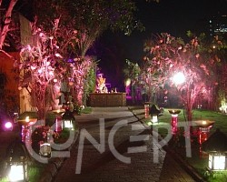 {short description of image}