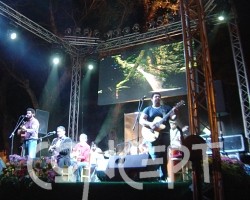 {short description of image}